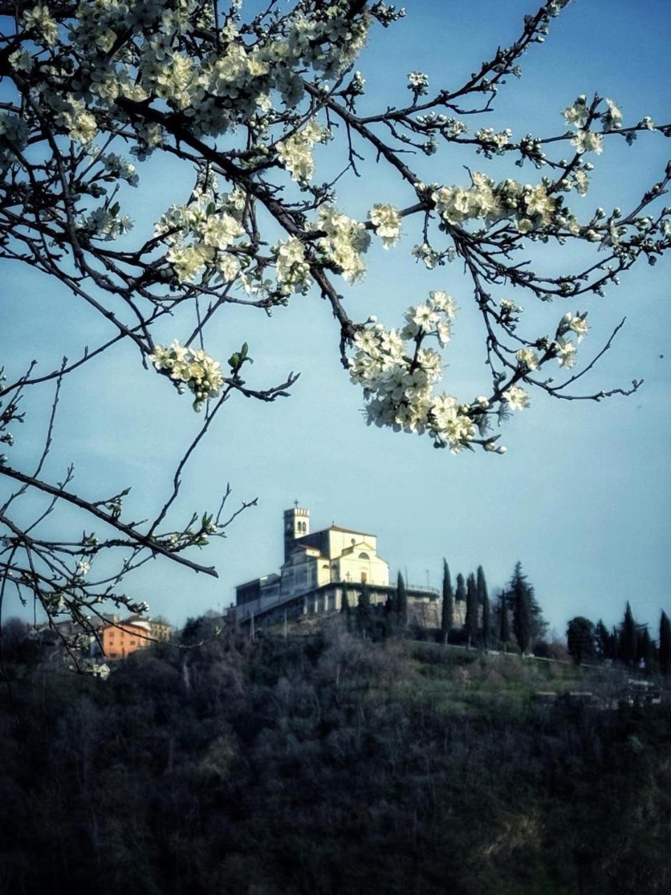 Casa Donai Διαμέρισμα San Giovanni Ilarione Εξωτερικό φωτογραφία