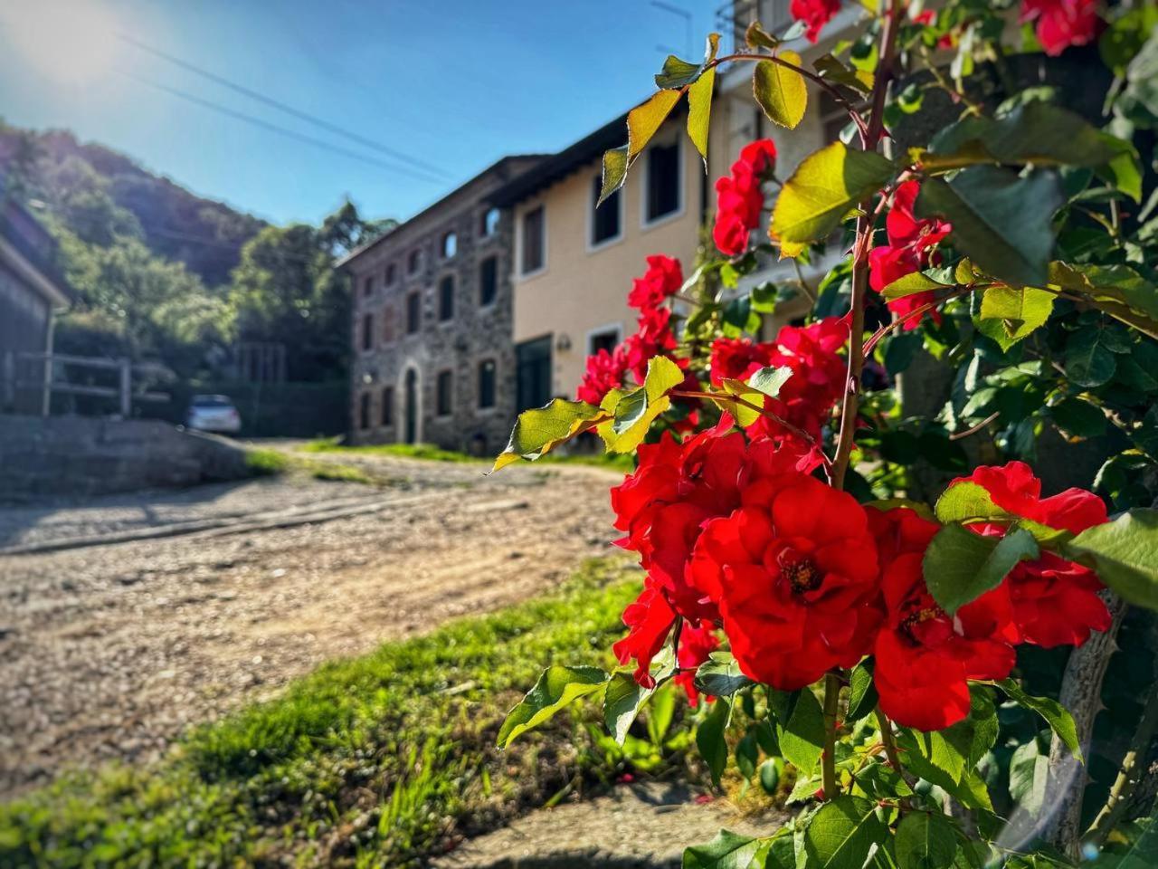 Casa Donai Διαμέρισμα San Giovanni Ilarione Εξωτερικό φωτογραφία